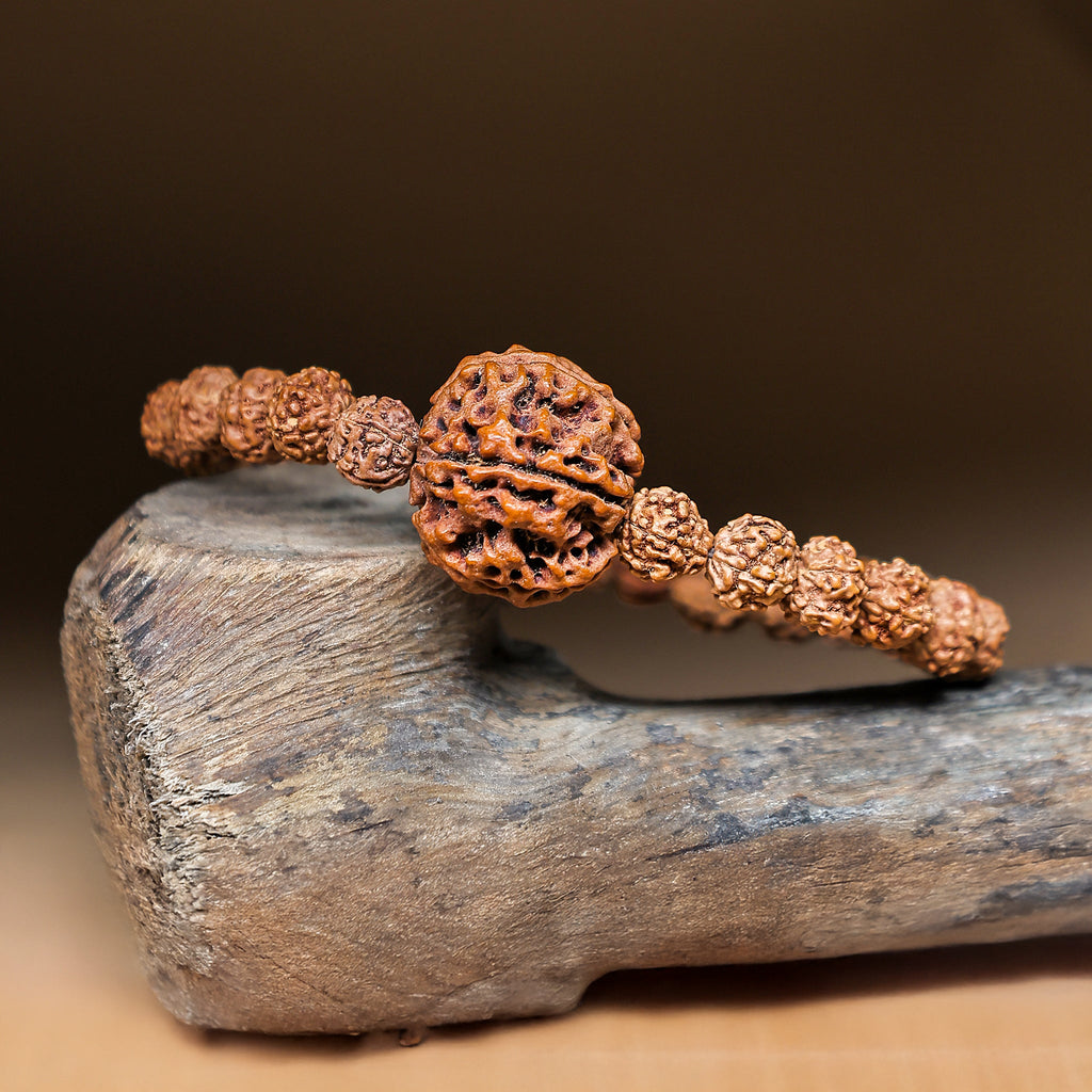5 Mukhi Rudraksha Bracelet (Five Faced)
