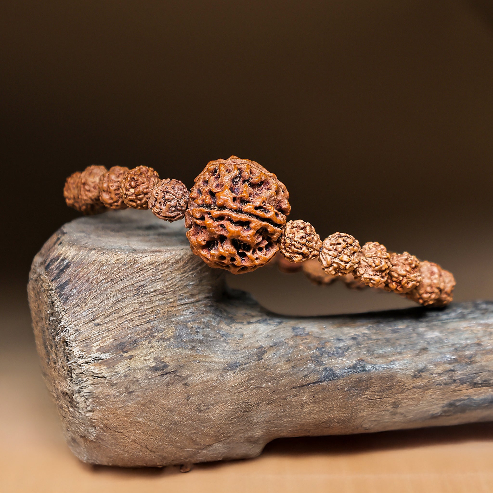 5 Mukhi Rudraksha Bracelet (Five Faced)