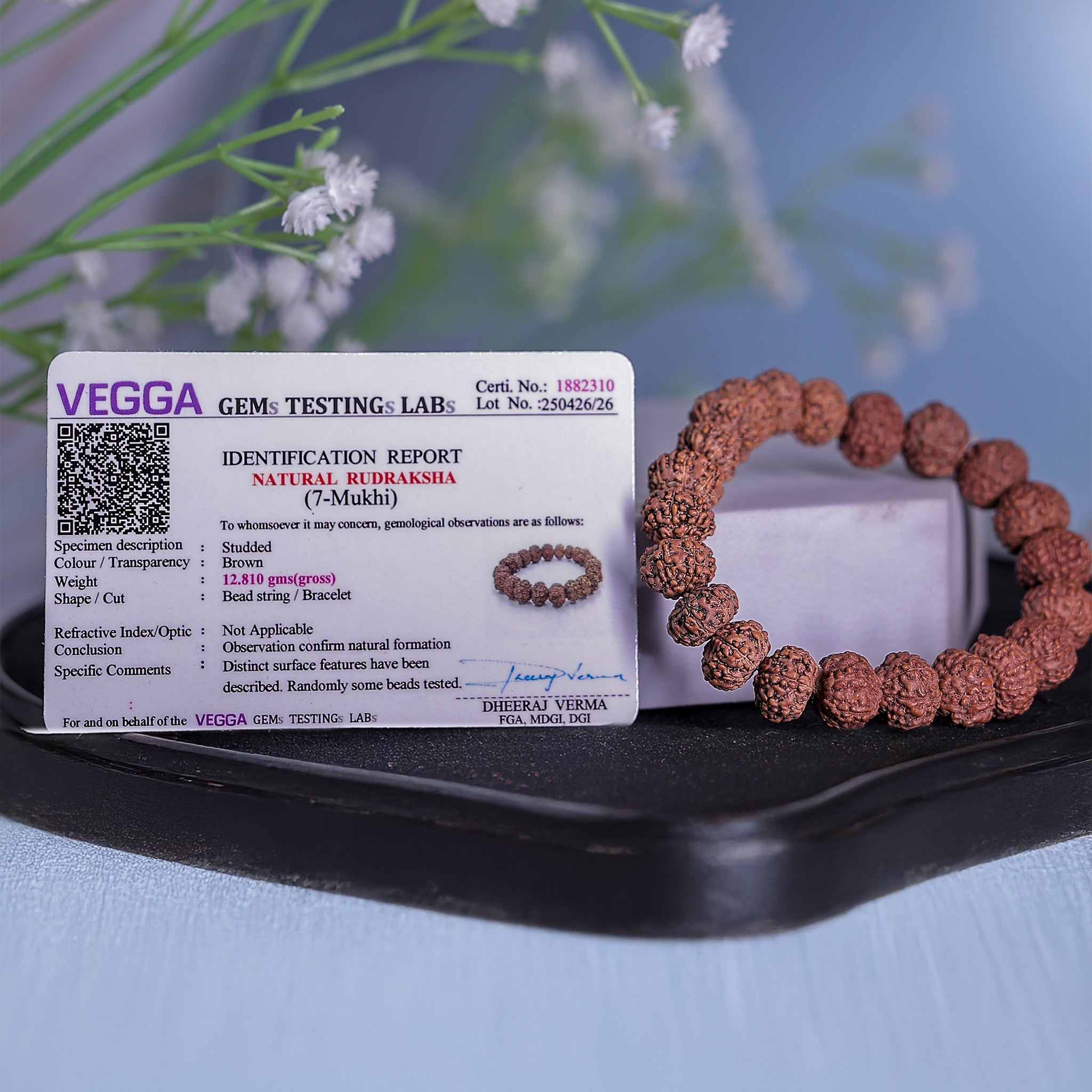 7 Mukhi Rudraksha Bracelet (Seven Faced)