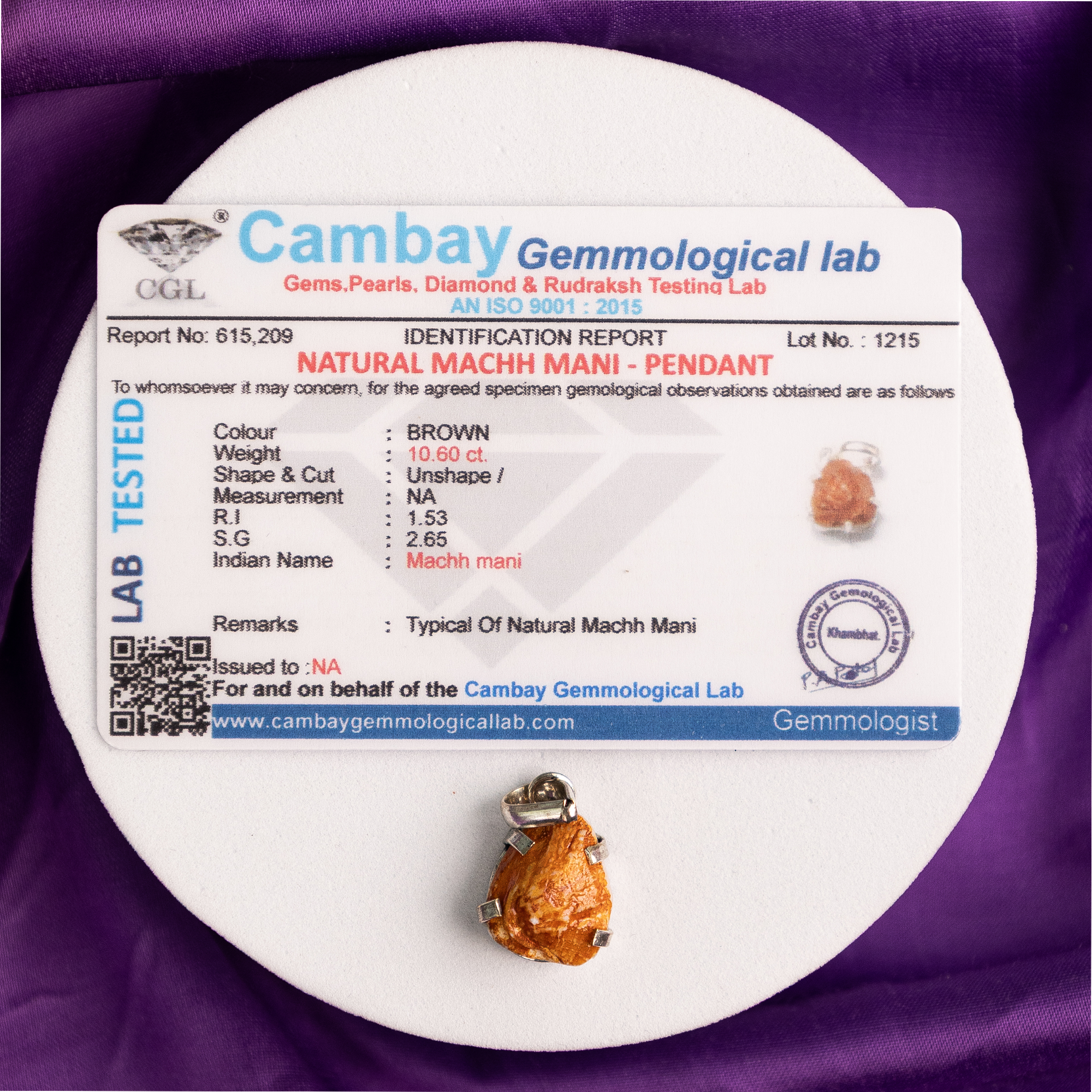 Machh Mani Pendant (Wealth, Love & Beauty)