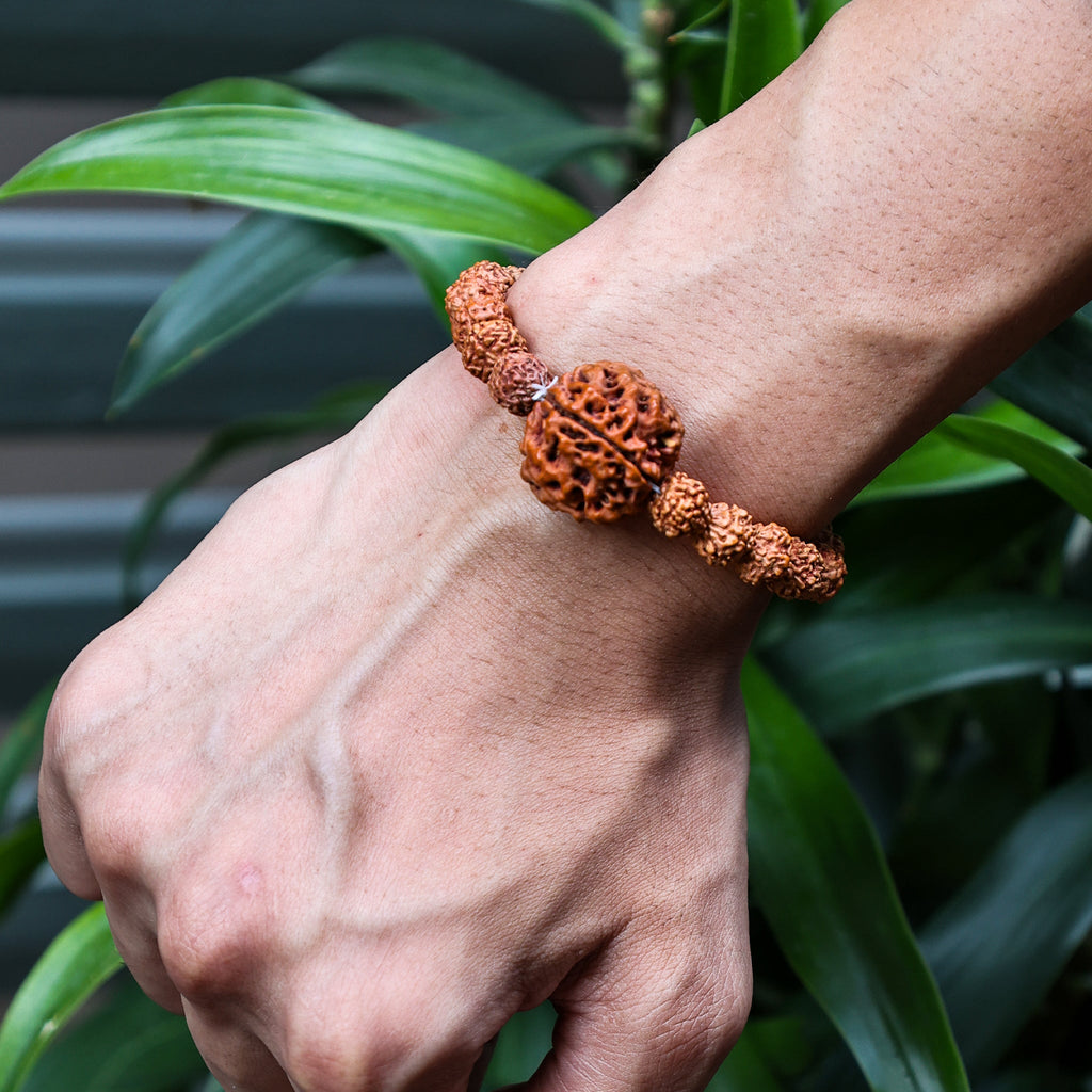 5 Mukhi Rudraksha Bracelet (Five Faced)