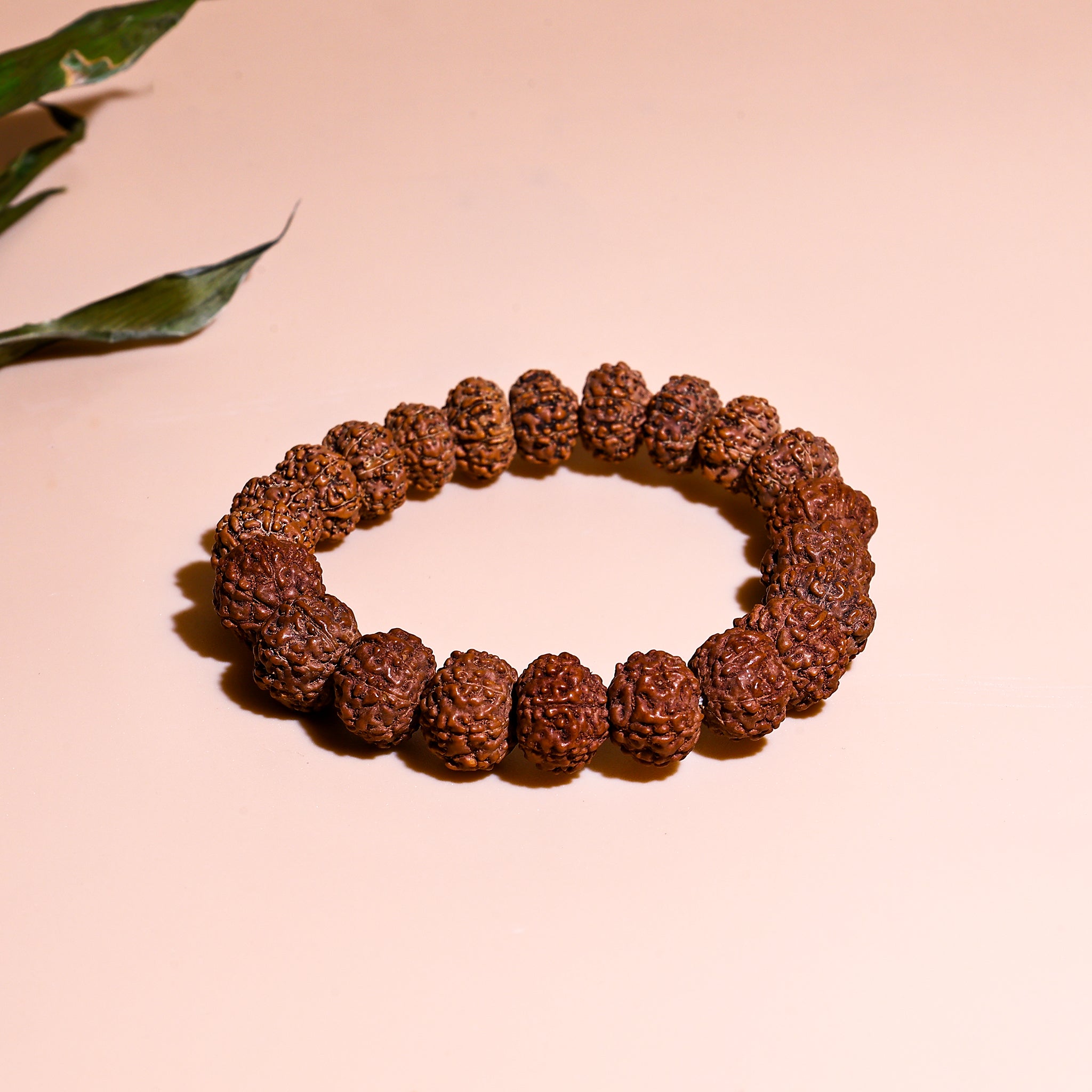 7 Mukhi Rudraksha Bracelet (Seven Faced)