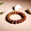 7 Mukhi Rudraksha Bracelet (Seven Faced)