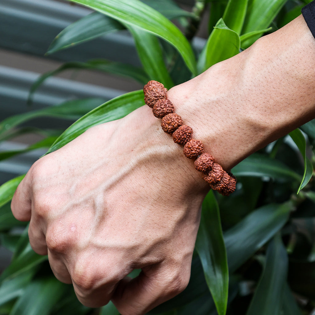 7 Mukhi Rudraksha Bracelet (Seven Faced)