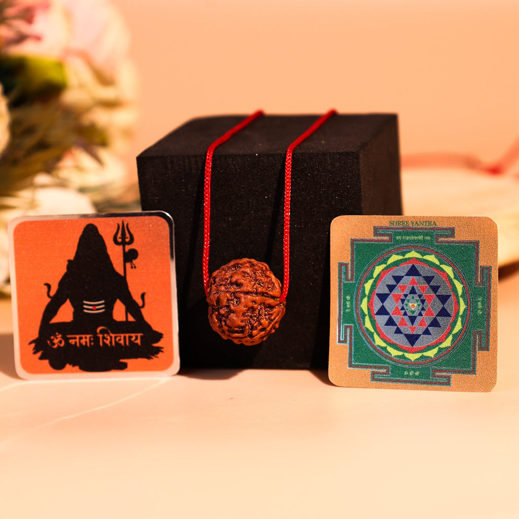 FREE - देवमणि 5 Mukhi Rudraksha - Siddh